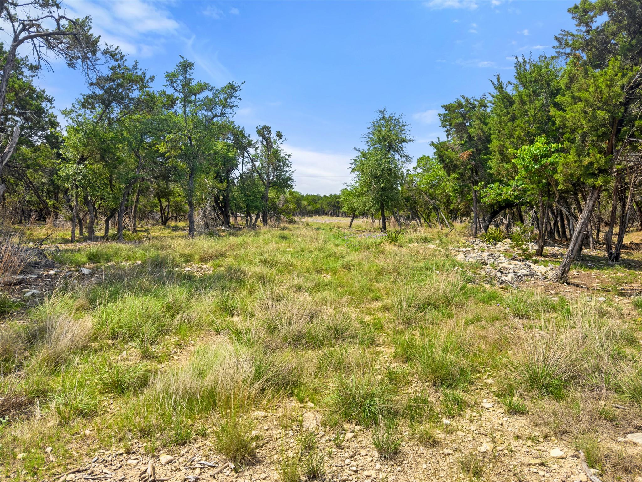 369 Onion Creek Lane Blanco TX 78606