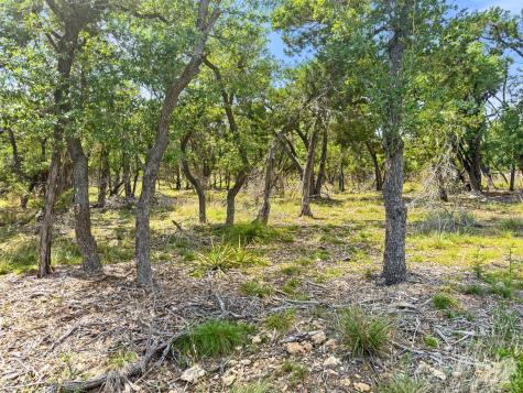 369 Onion Creek Lane Blanco TX 78606
