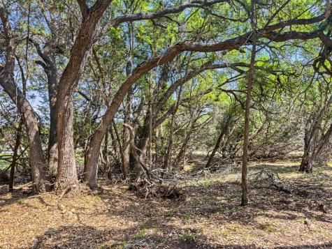 369 Onion Creek Lane Blanco TX 78606