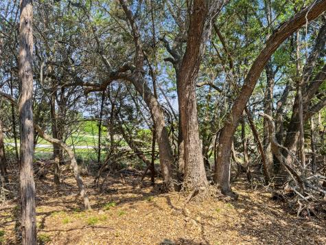 369 Onion Creek Lane Blanco TX 78606