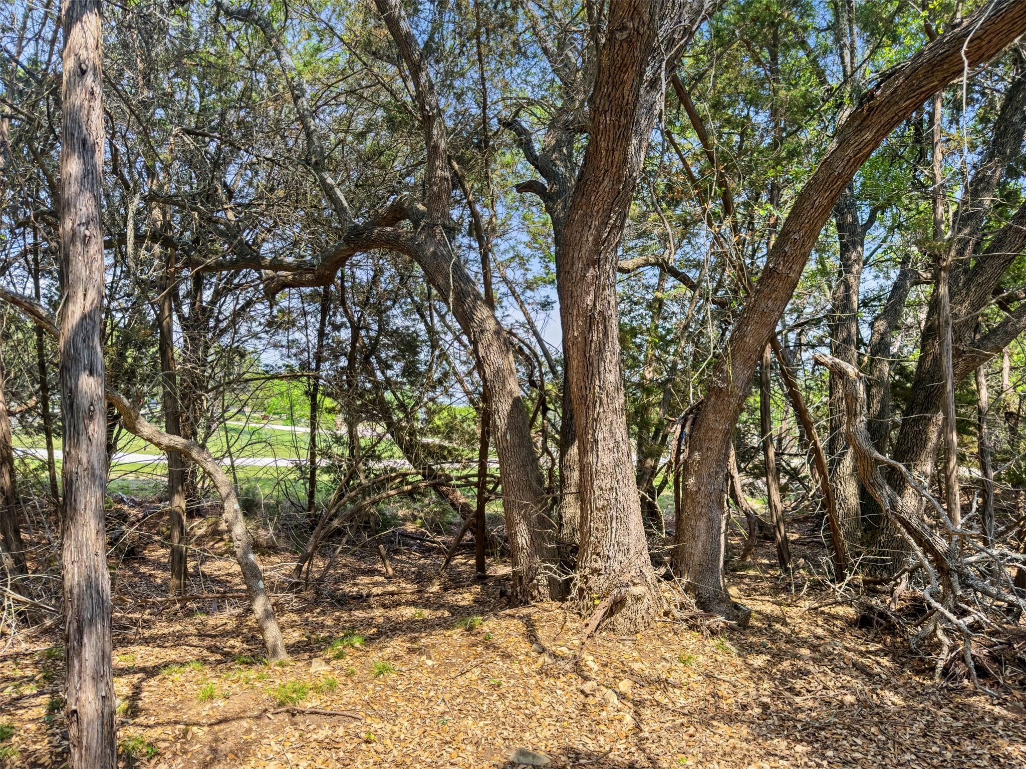 369 Onion Creek Lane Blanco TX 78606