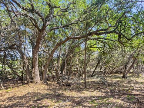369 Onion Creek Lane Blanco TX 78606