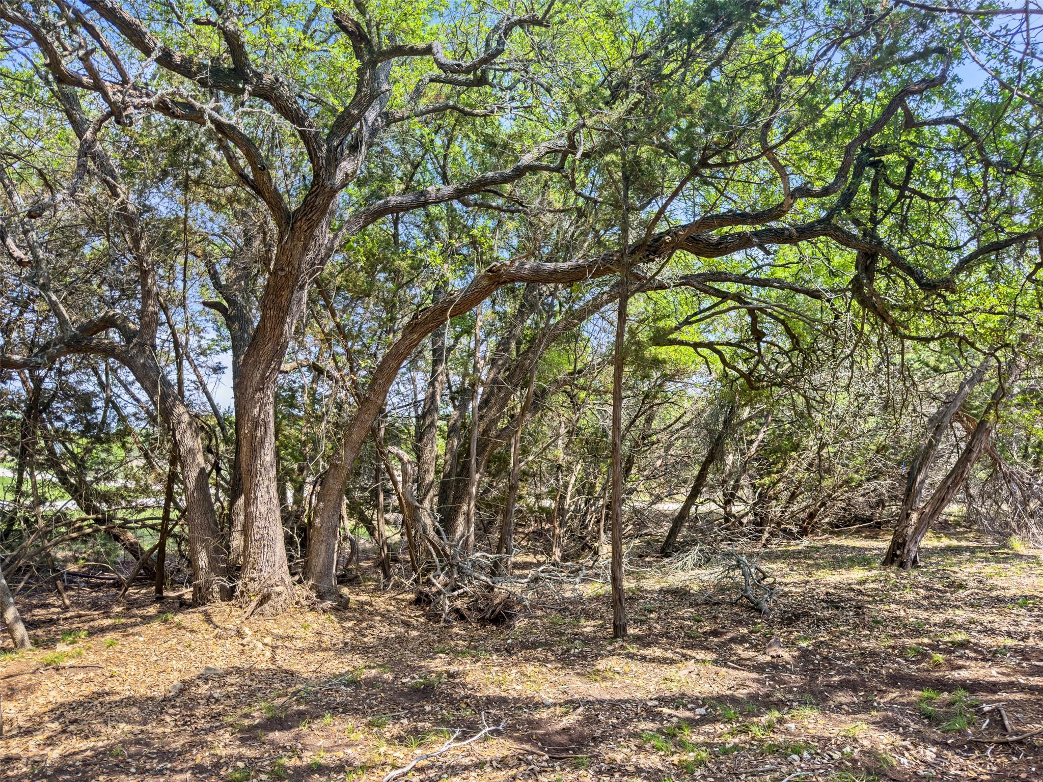 369 Onion Creek Lane Blanco TX 78606
