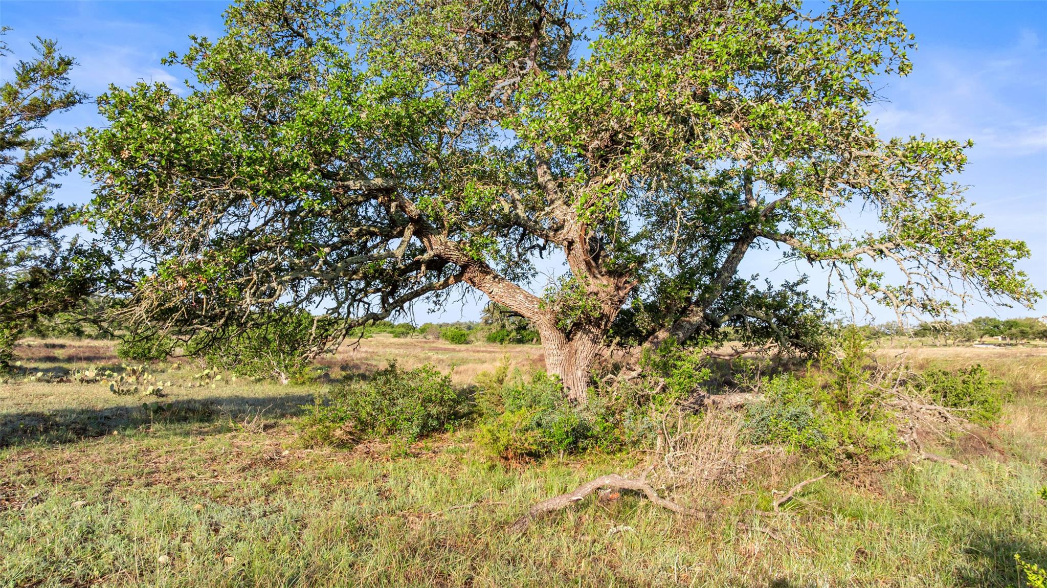 Lot 3 & 4 Vista Ridge Drive Round Mountain TX 78663