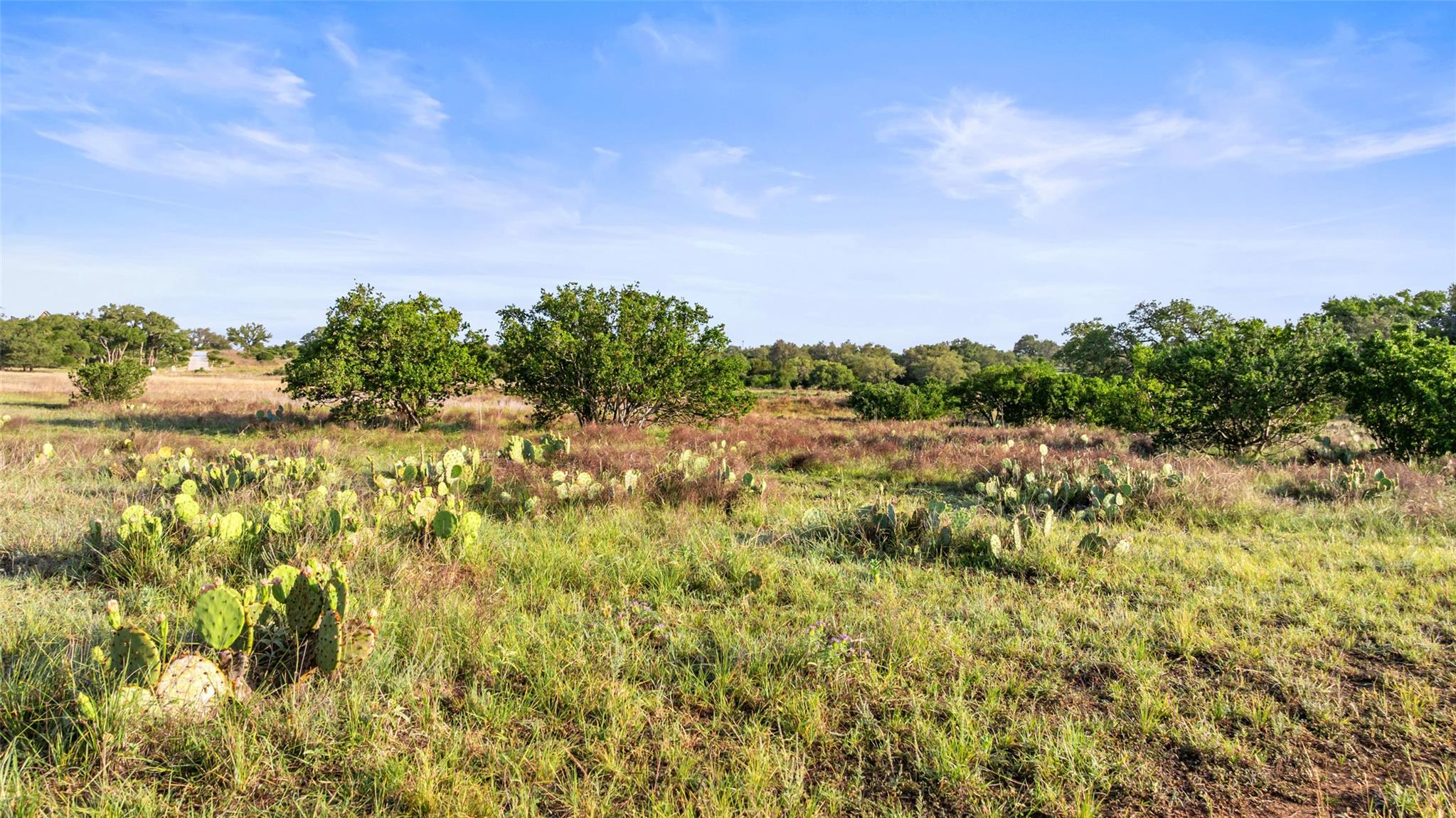 Lot 3 & 4 Vista Ridge Drive Round Mountain TX 78663