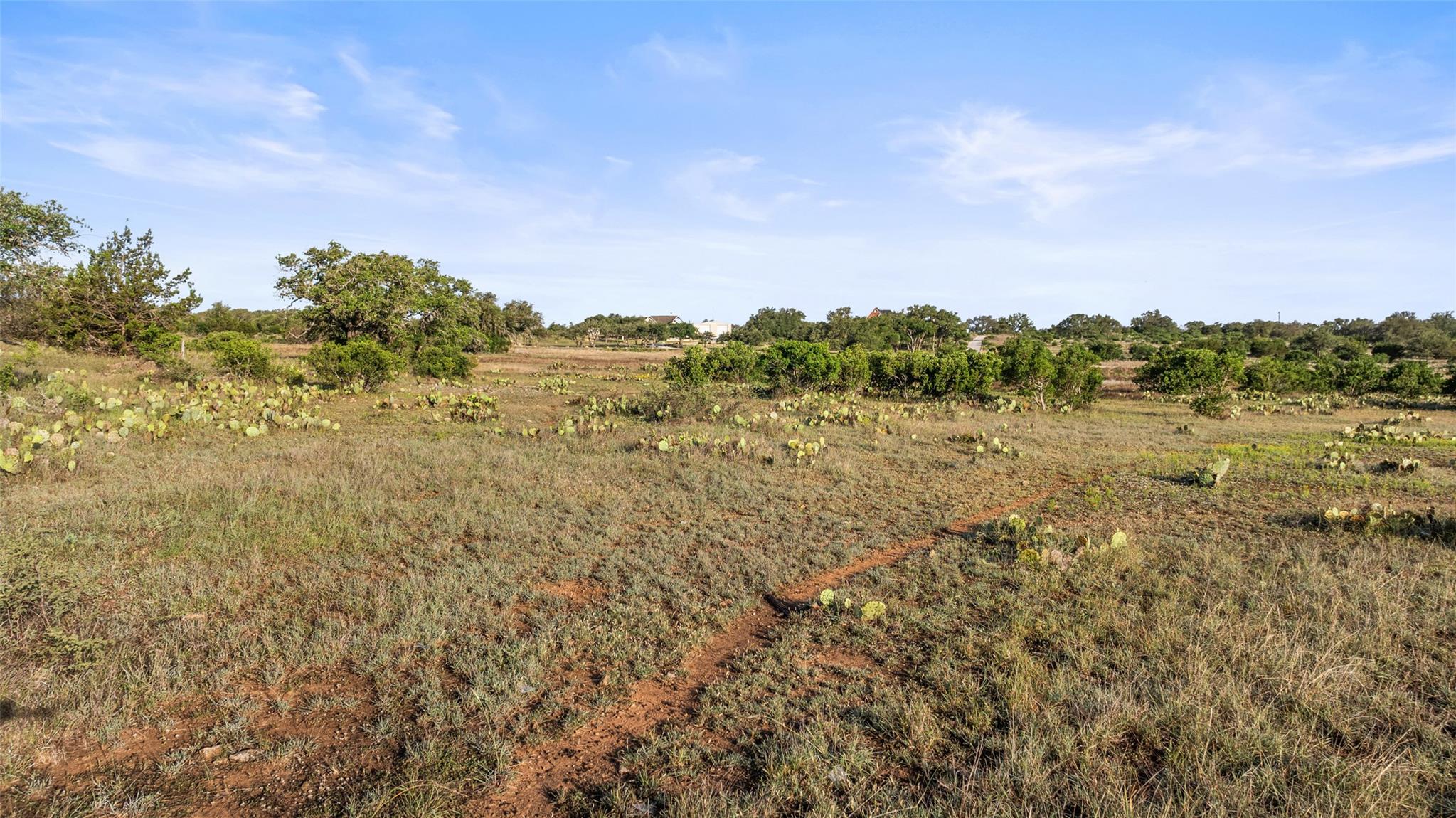 Lot 3 & 4 Vista Ridge Drive Round Mountain TX 78663