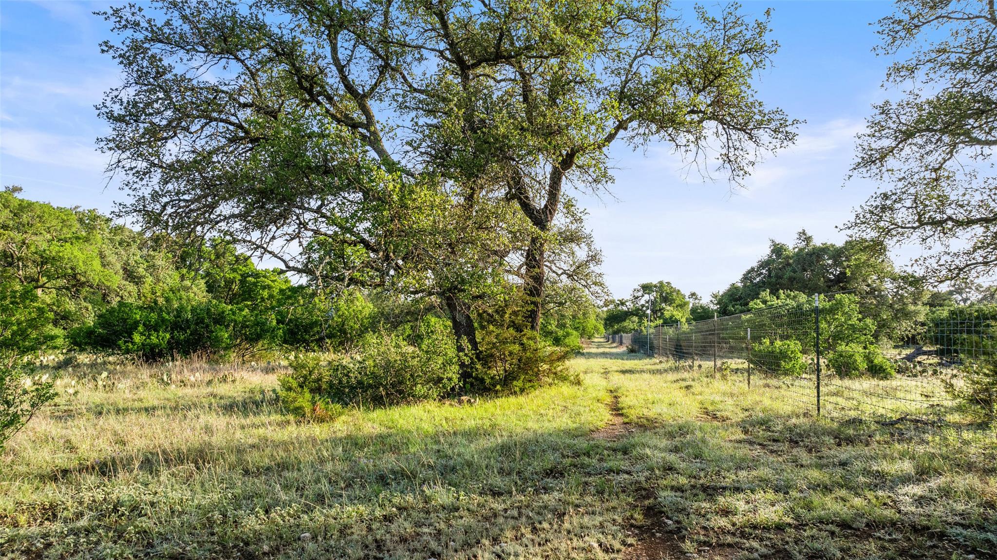 Lot 3 & 4 Vista Ridge Drive Round Mountain TX 78663