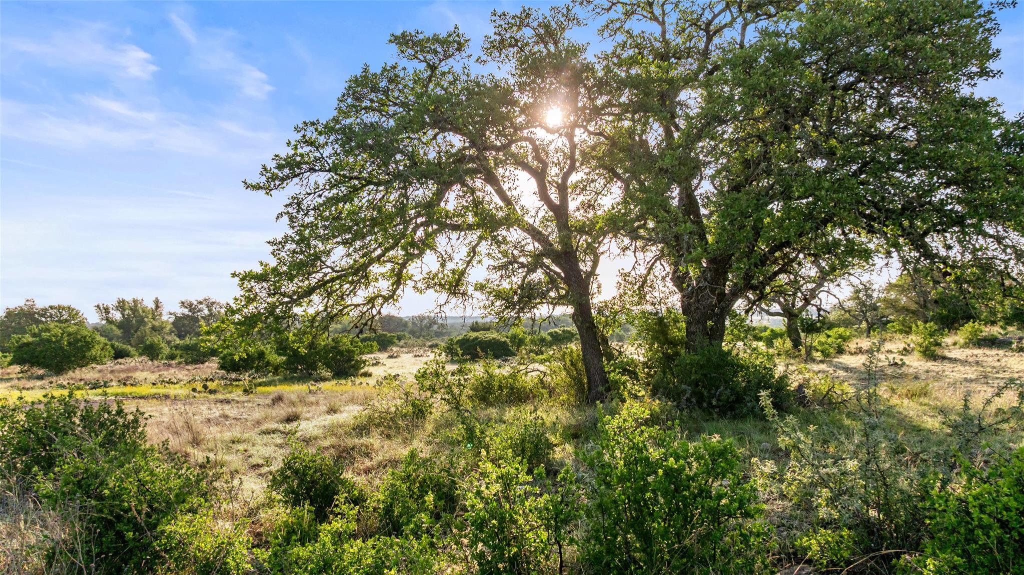 Lot 3 & 4 Vista Ridge Drive Round Mountain TX 78663