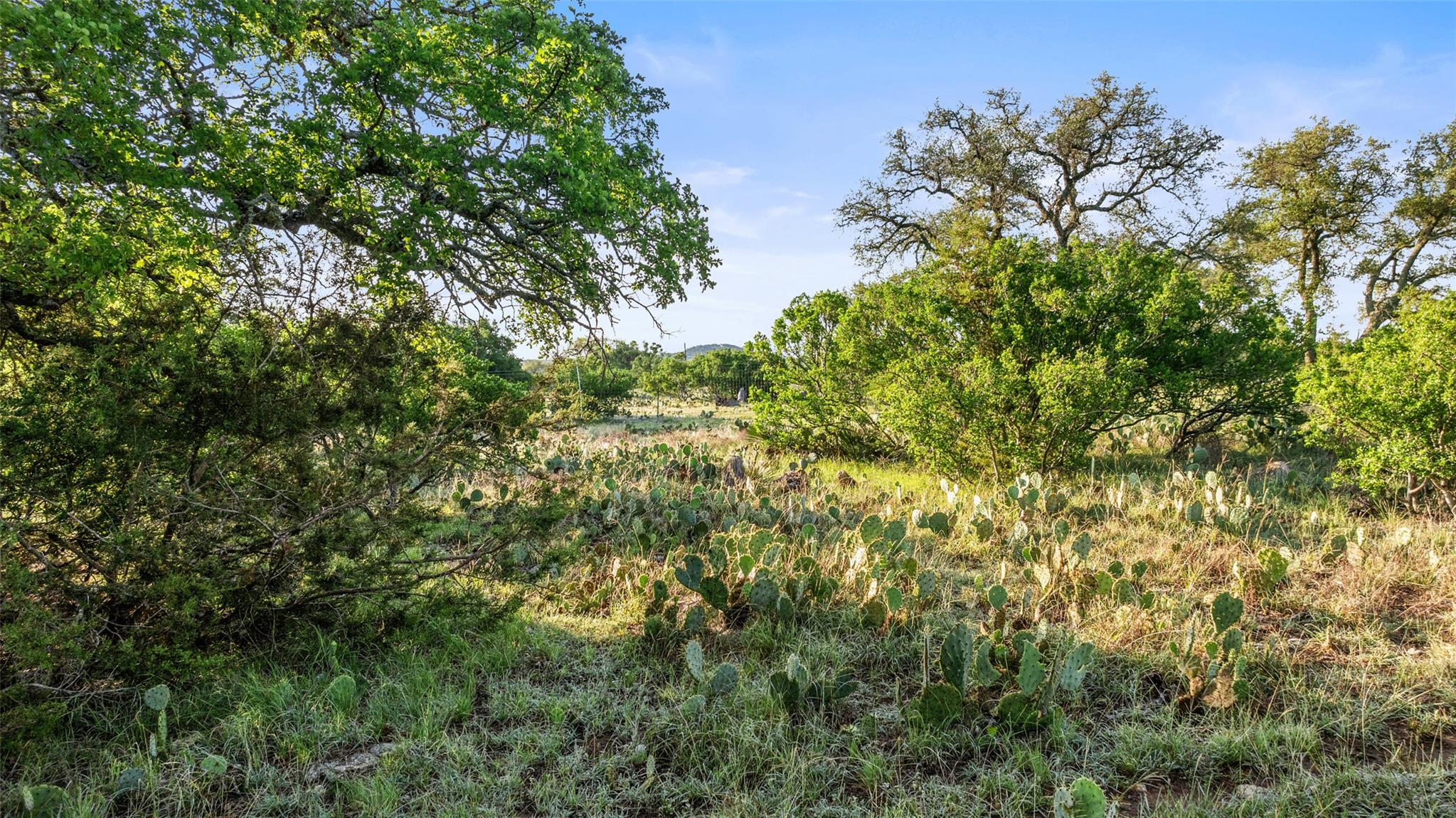 Lot 3 & 4 Vista Ridge Drive Round Mountain TX 78663