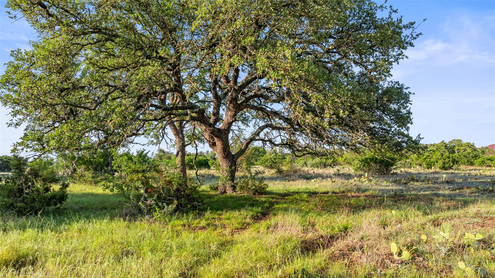 Lot 3 & 4 Vista Ridge Drive Round Mountain TX 78663