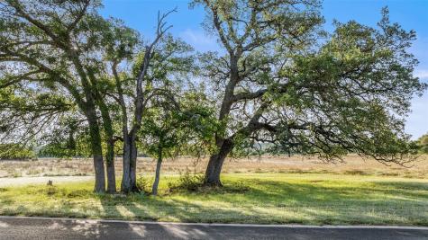 Lot 3 & 4 Vista Ridge Drive Round Mountain TX 78663