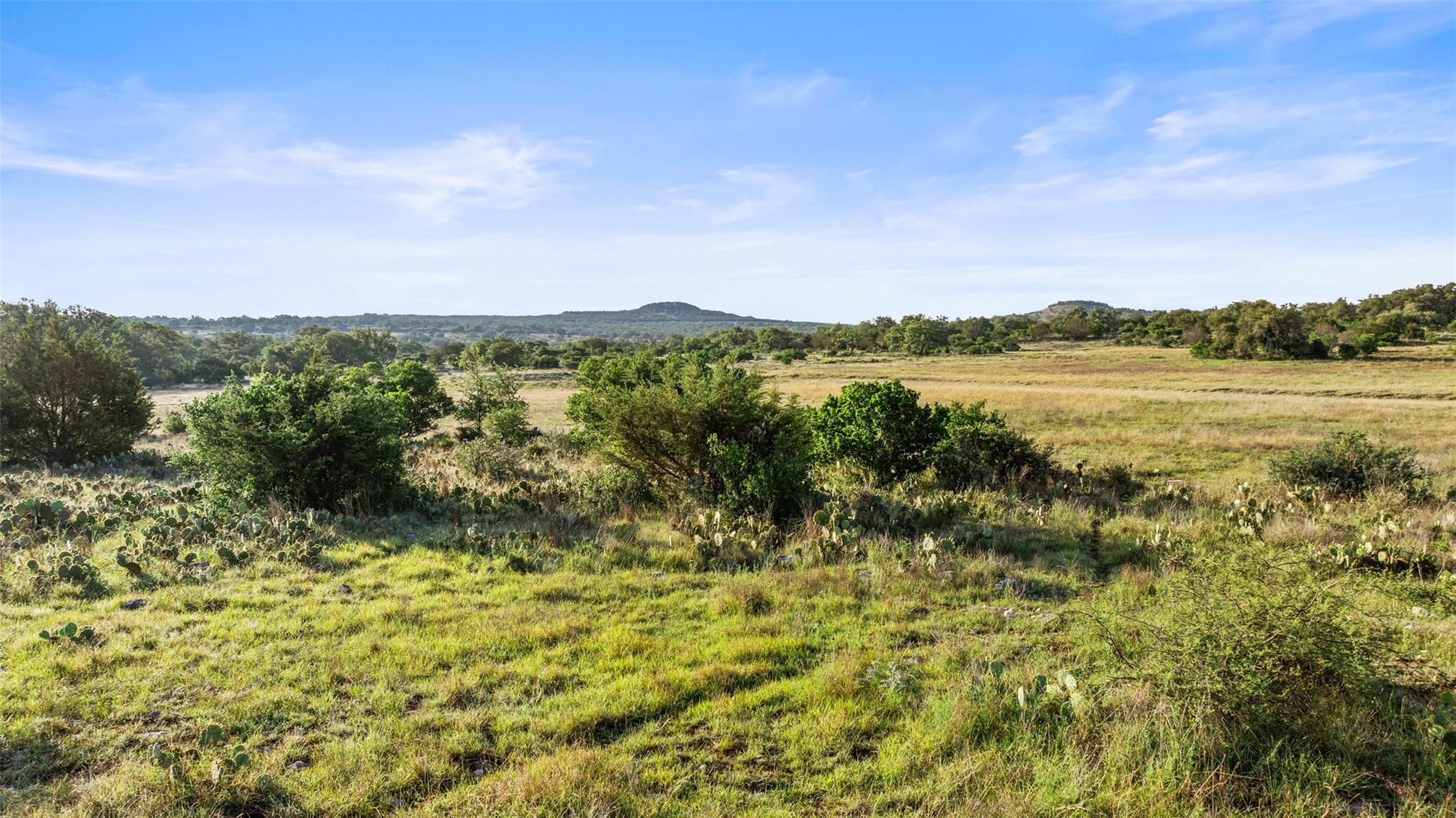 Lot 3 & 4 Vista Ridge Drive Round Mountain TX 78663