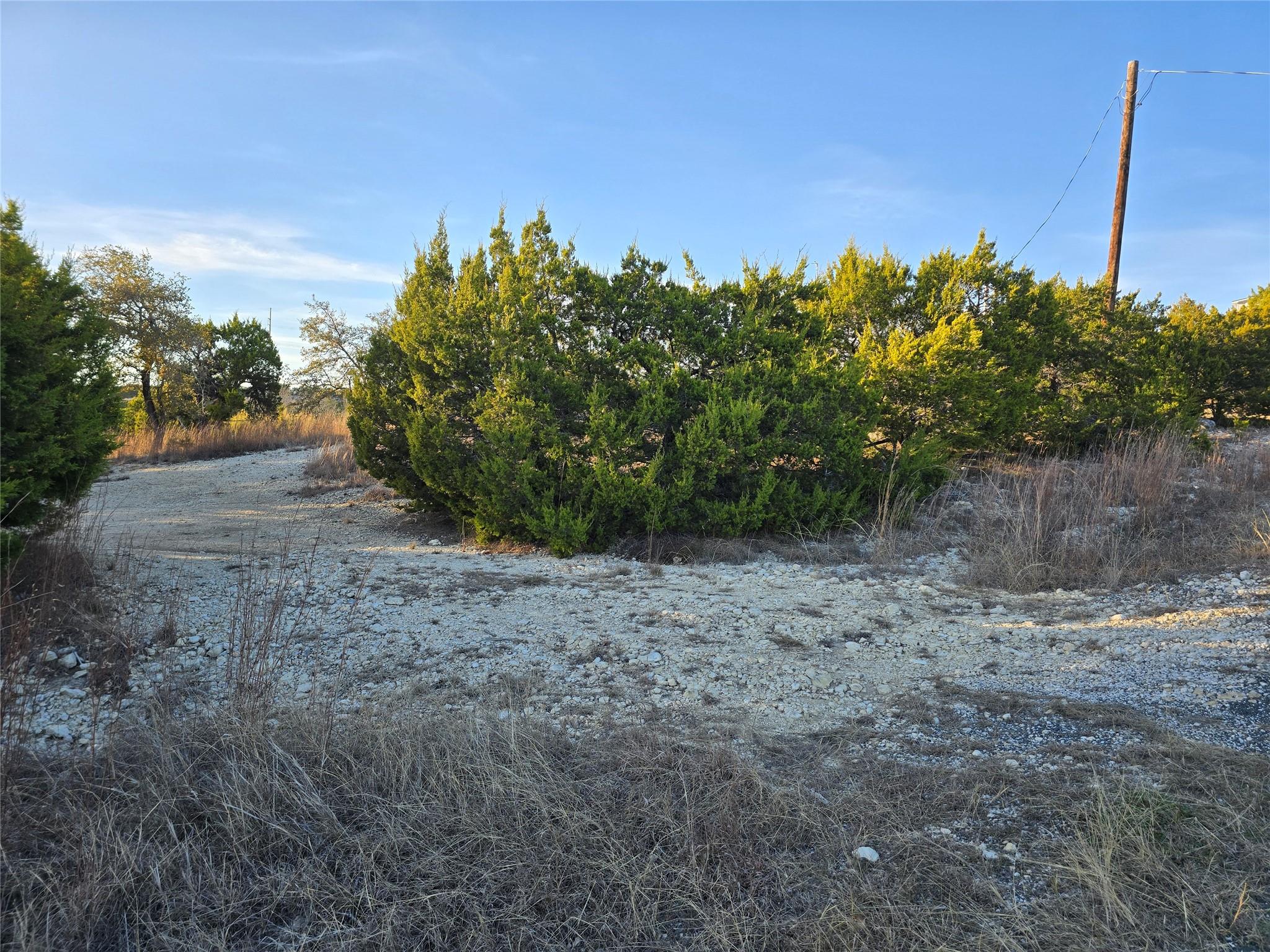 19403 Apple Springs Drive Leander TX 78641
