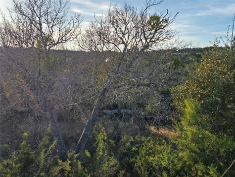19403 Apple Springs Drive Leander TX 78641