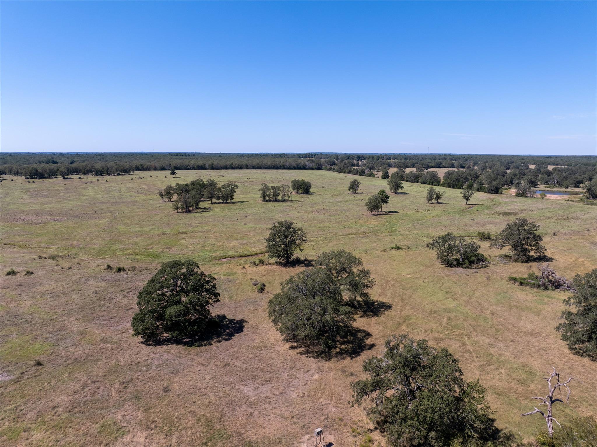 1078 Old Pin Oak Road Paige TX 78659