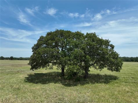 Lot 1 Tbd County Road 127 Road Ledbetter TX 78946