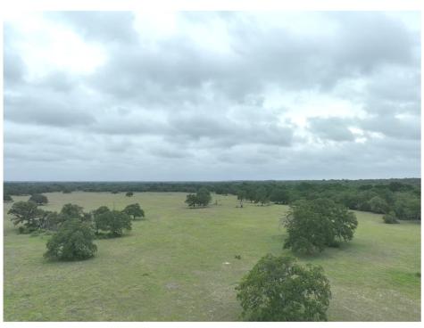 Lot 1 Tbd County Road 127 Road Ledbetter TX 78946