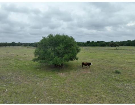 Lot 1 Tbd County Road 127 Road Ledbetter TX 78946
