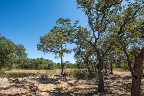 840 Forest View Drive Blanco TX 78606