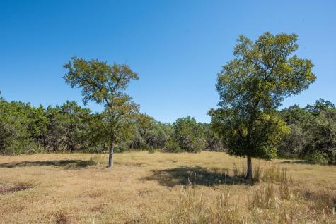 840 Forest View Drive Blanco TX 78606