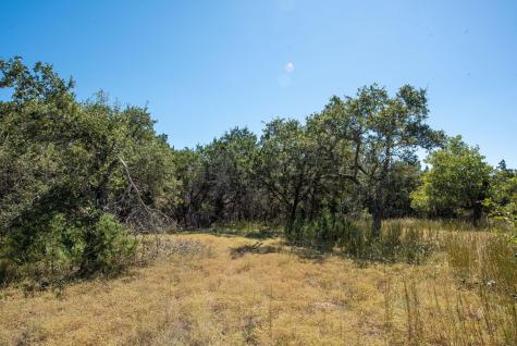 840 Forest View Drive Blanco TX 78606