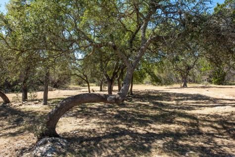 840 Forest View Drive Blanco TX 78606