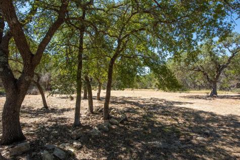 840 Forest View Drive Blanco TX 78606