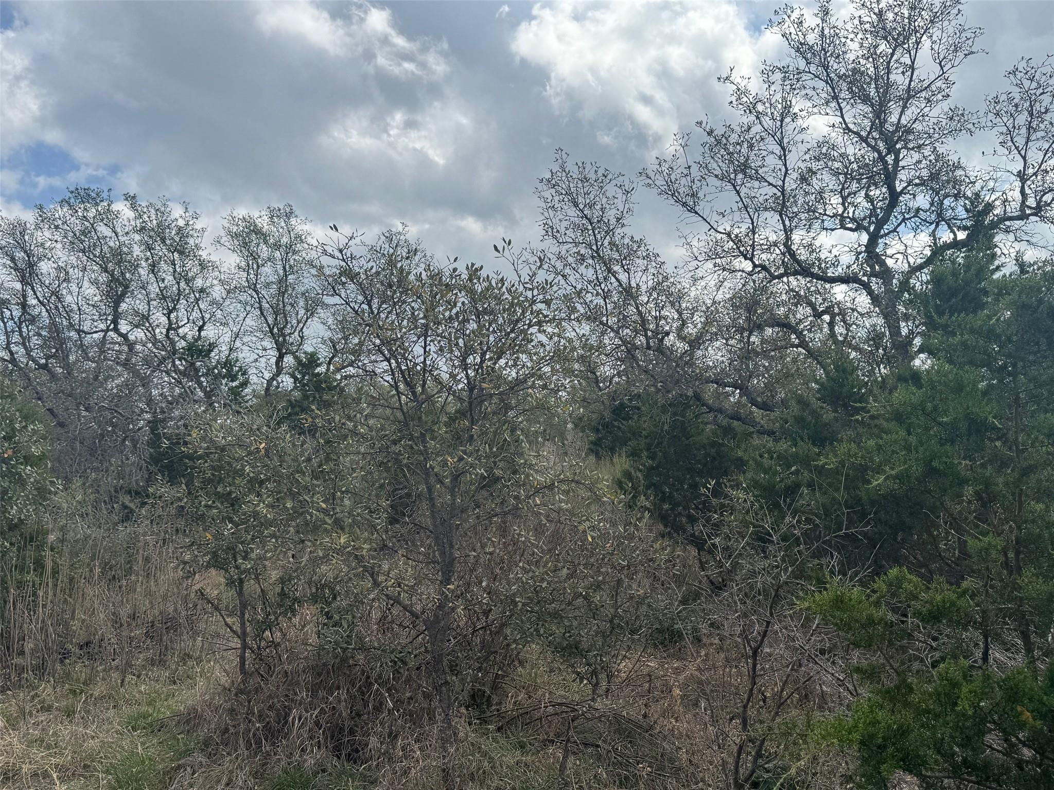Lot 33 Eagle Feather Kingsland TX 78639