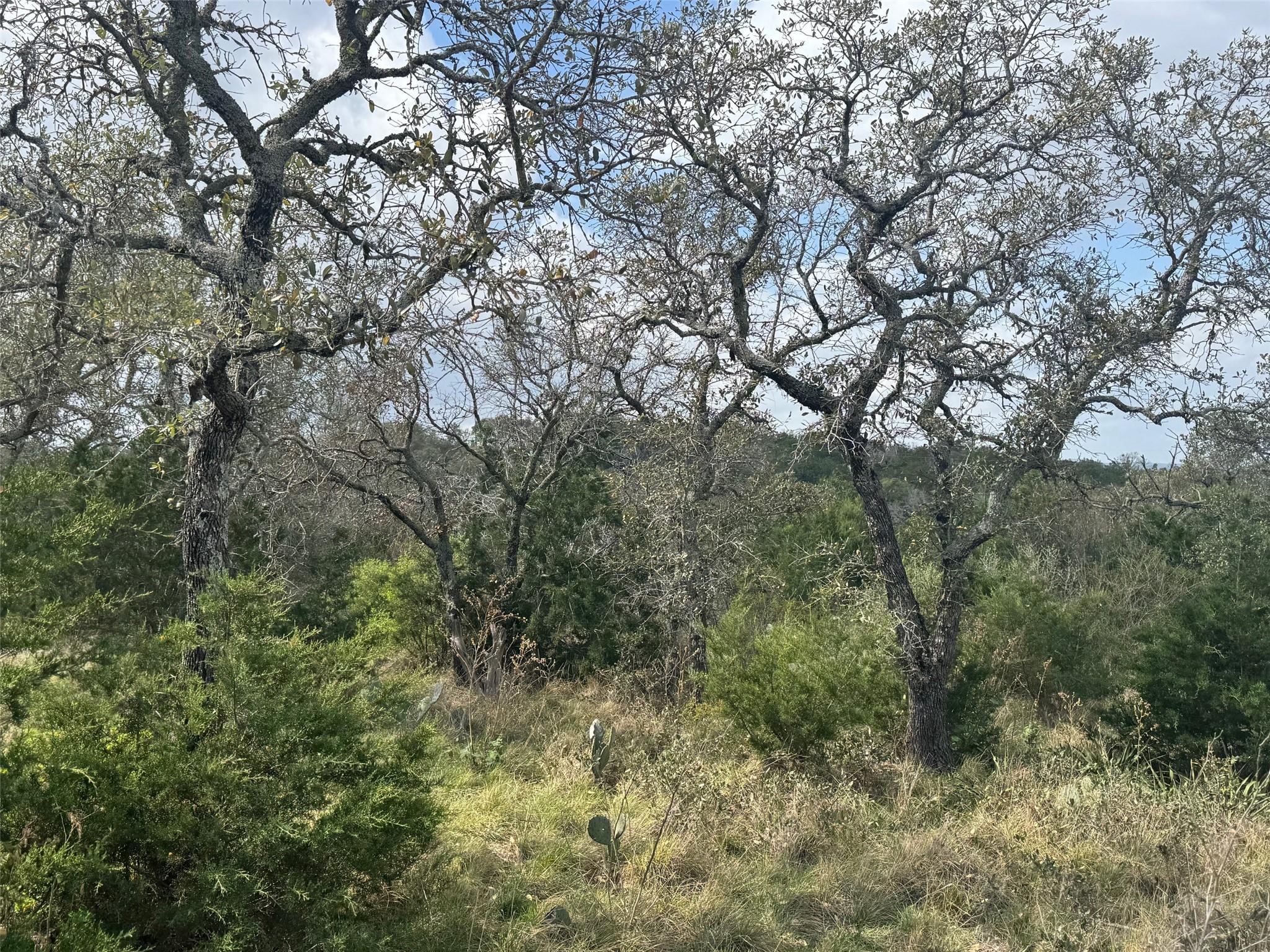 Lot 33 Eagle Feather Kingsland TX 78639