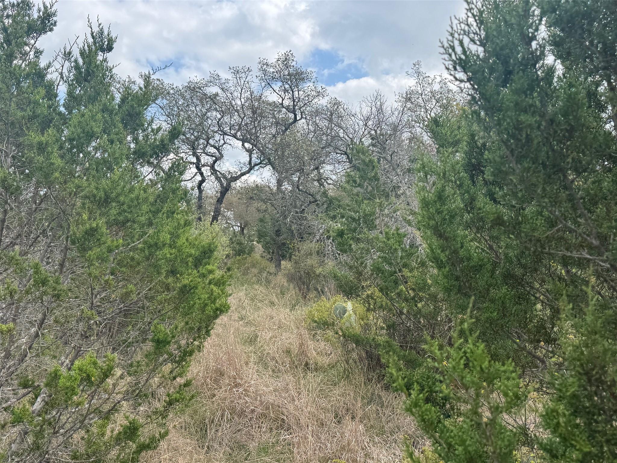 Lot 33 Eagle Feather Kingsland TX 78639