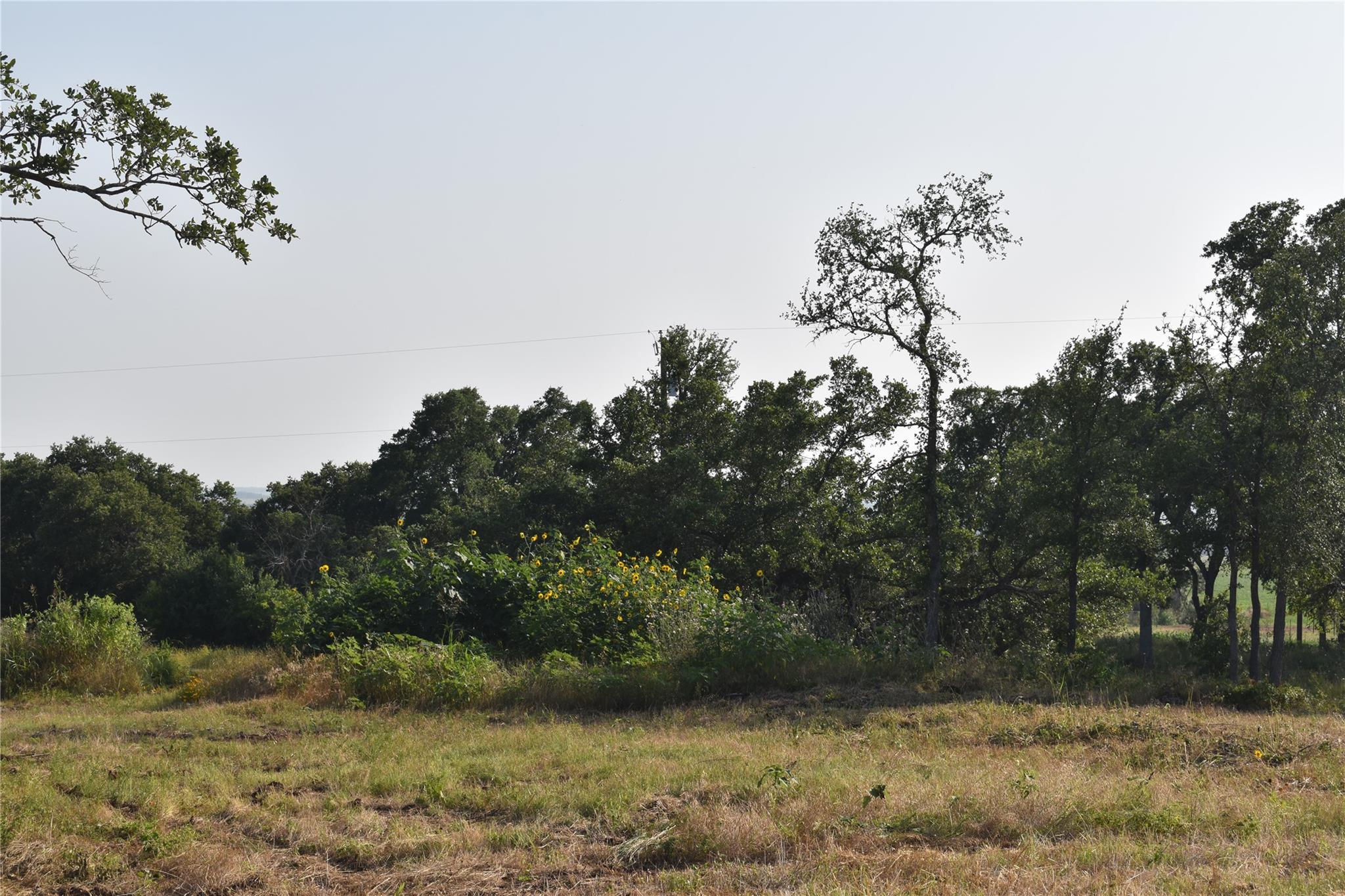 1130 Fm-970 Florence TX 76527