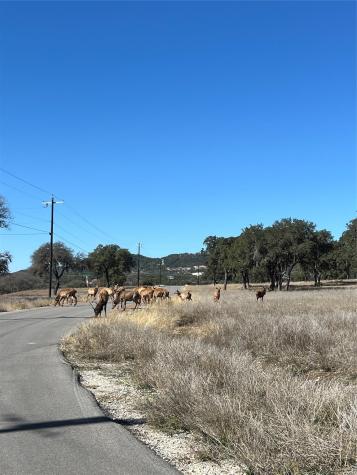 Lot 58 Red Stag Lane Pipe Creek TX 78063