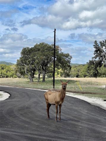 Lot 58 Red Stag Lane Pipe Creek TX 78063