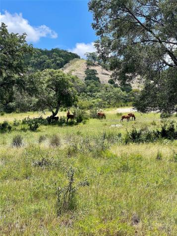 Lot 58 Red Stag Lane Pipe Creek TX 78063