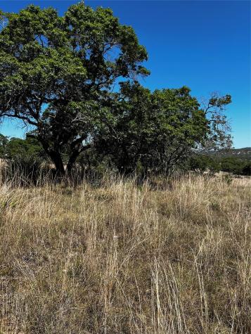 Lot 58 Red Stag Lane Pipe Creek TX 78063