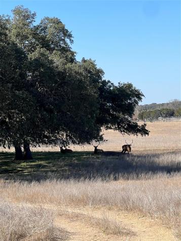 Lot 58 Red Stag Lane Pipe Creek TX 78063