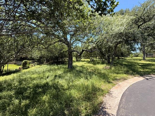 Lot 8009 Tee Off Horseshoe Bay TX 78657