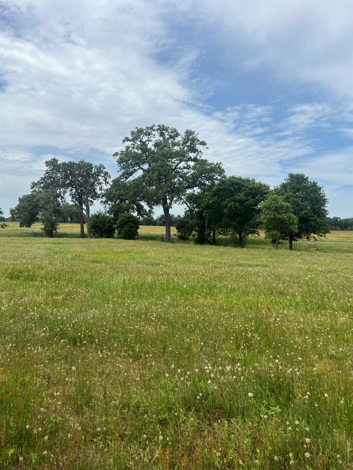 TBD2 Davis Road Smithville TX 78957