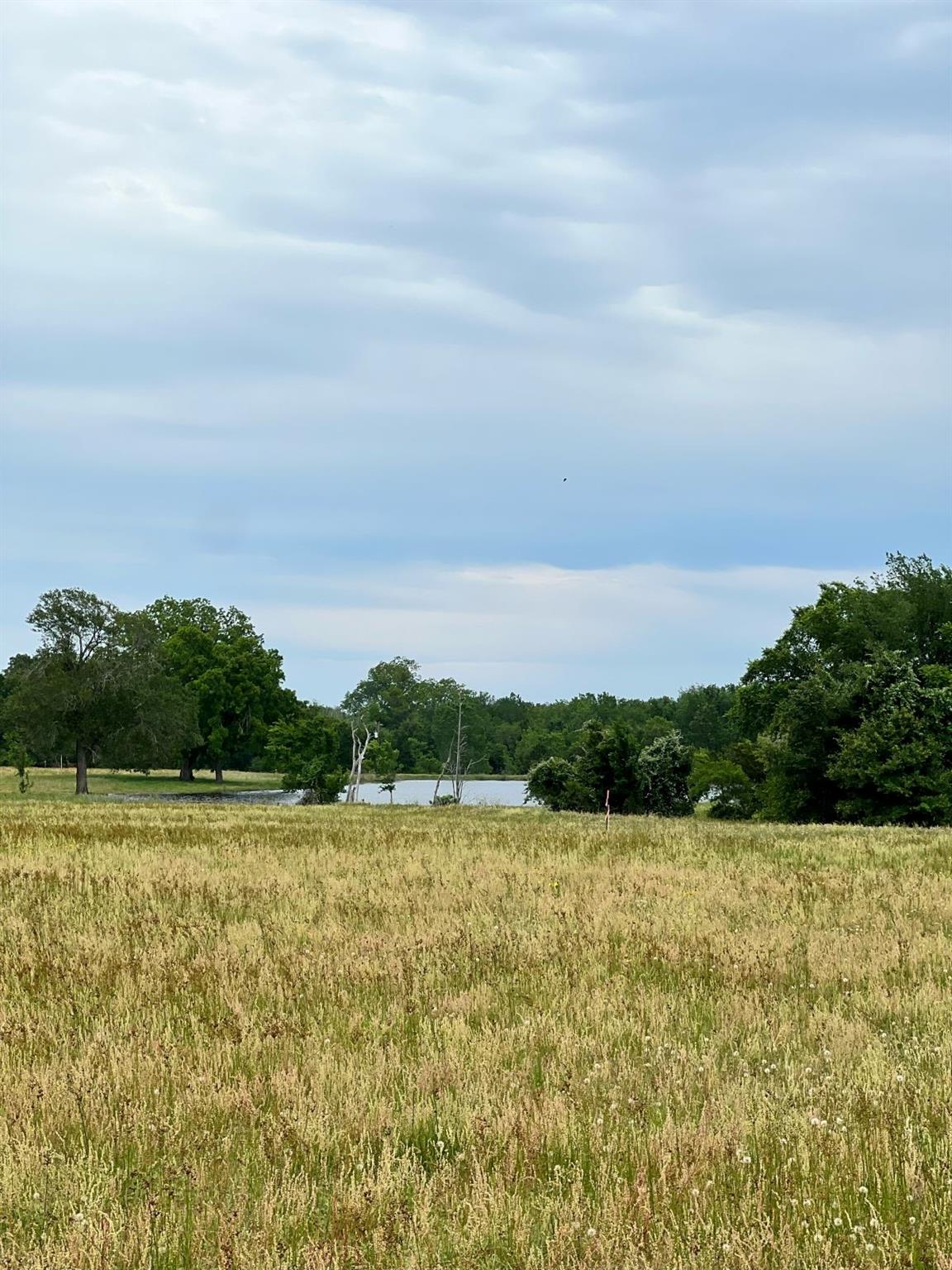 TBD2 Davis Road Smithville TX 78957