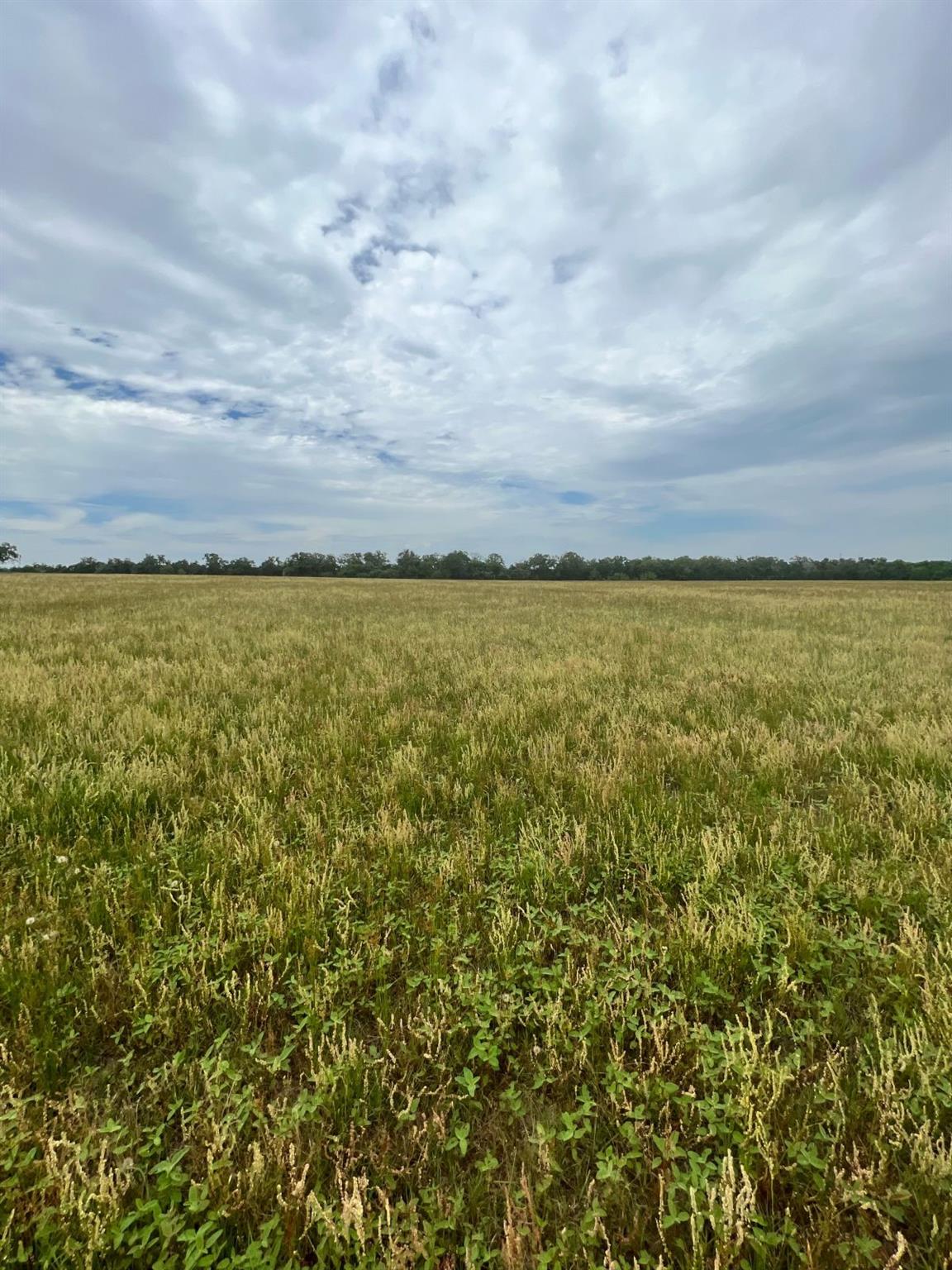 TBD2 Davis Road Smithville TX 78957
