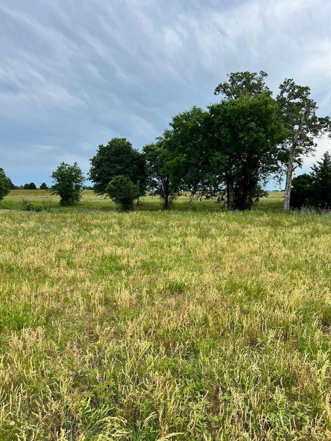 TBD2 Davis Road Smithville TX 78957