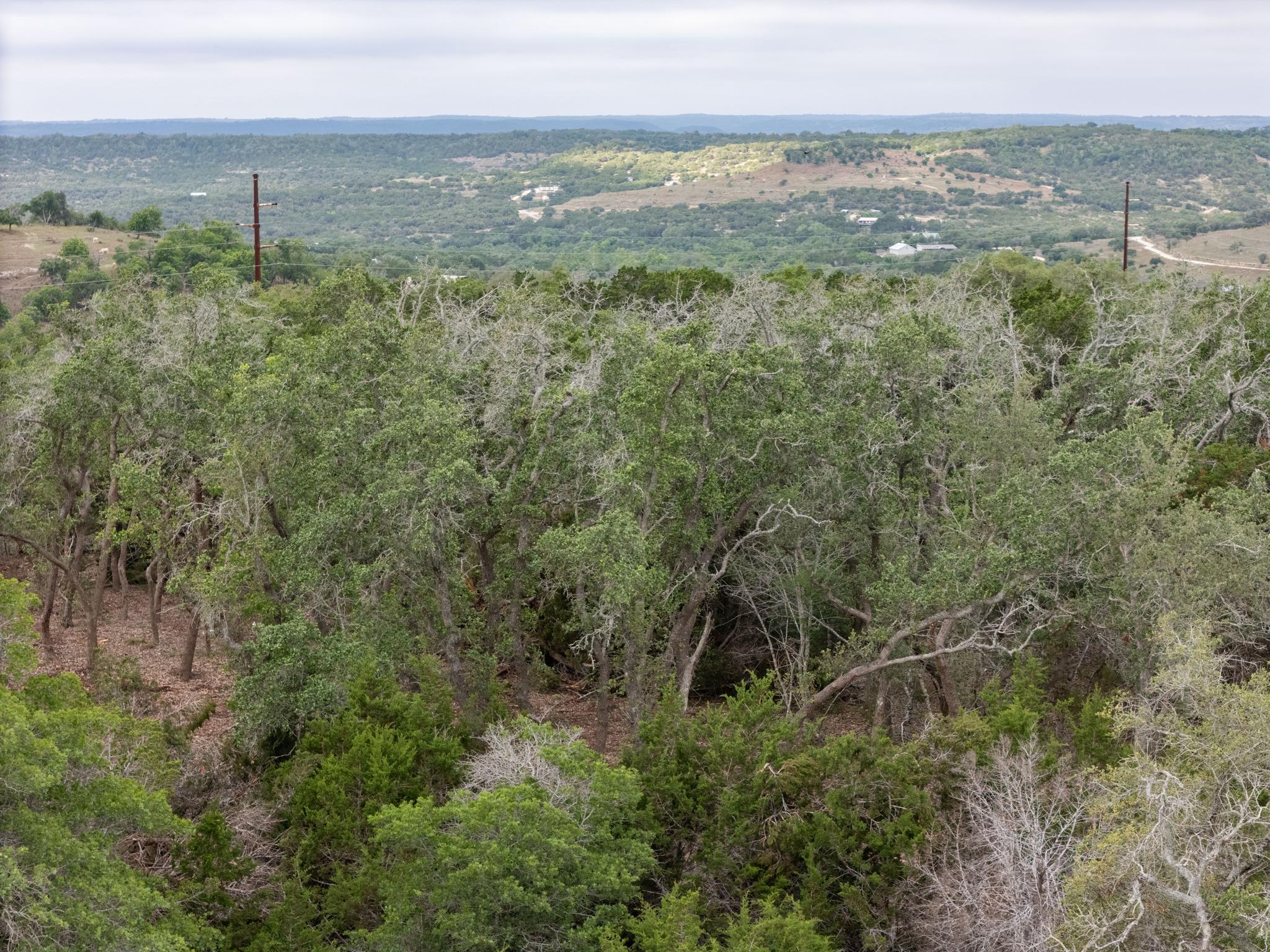 0 Altwein Road 17.91 Acres Altwein Road Blanco TX 78606