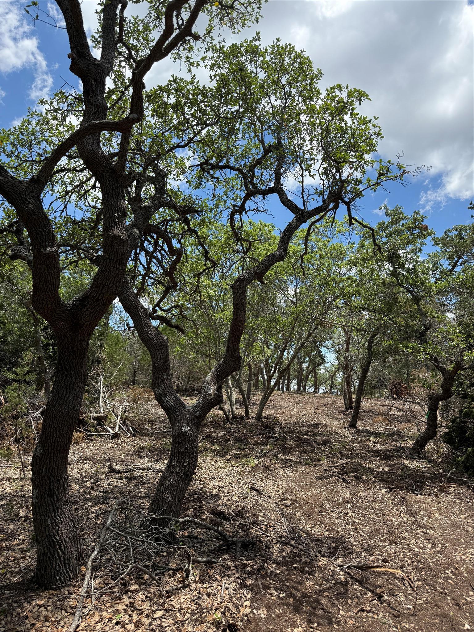 0 Altwein Road 17.91 Acres Altwein Road Blanco TX 78606