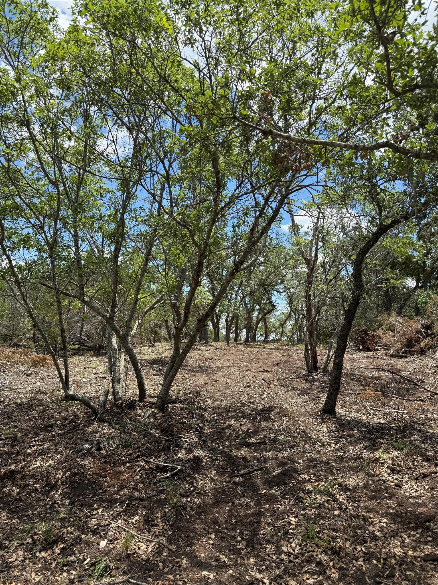 0 Altwein Road 17.91 Acres Altwein Road Blanco TX 78606
