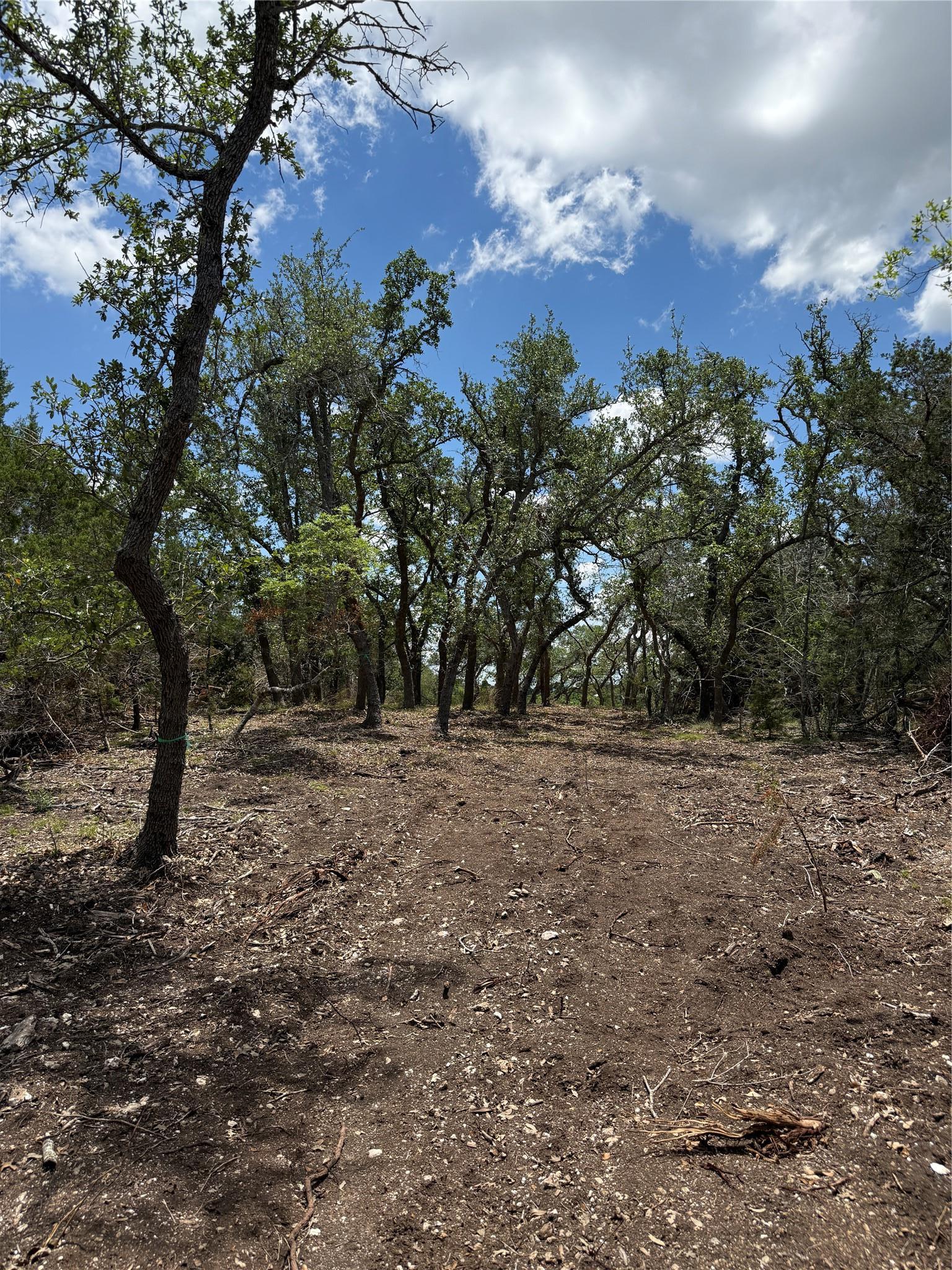 0 Altwein Road 17.91 Acres Altwein Road Blanco TX 78606