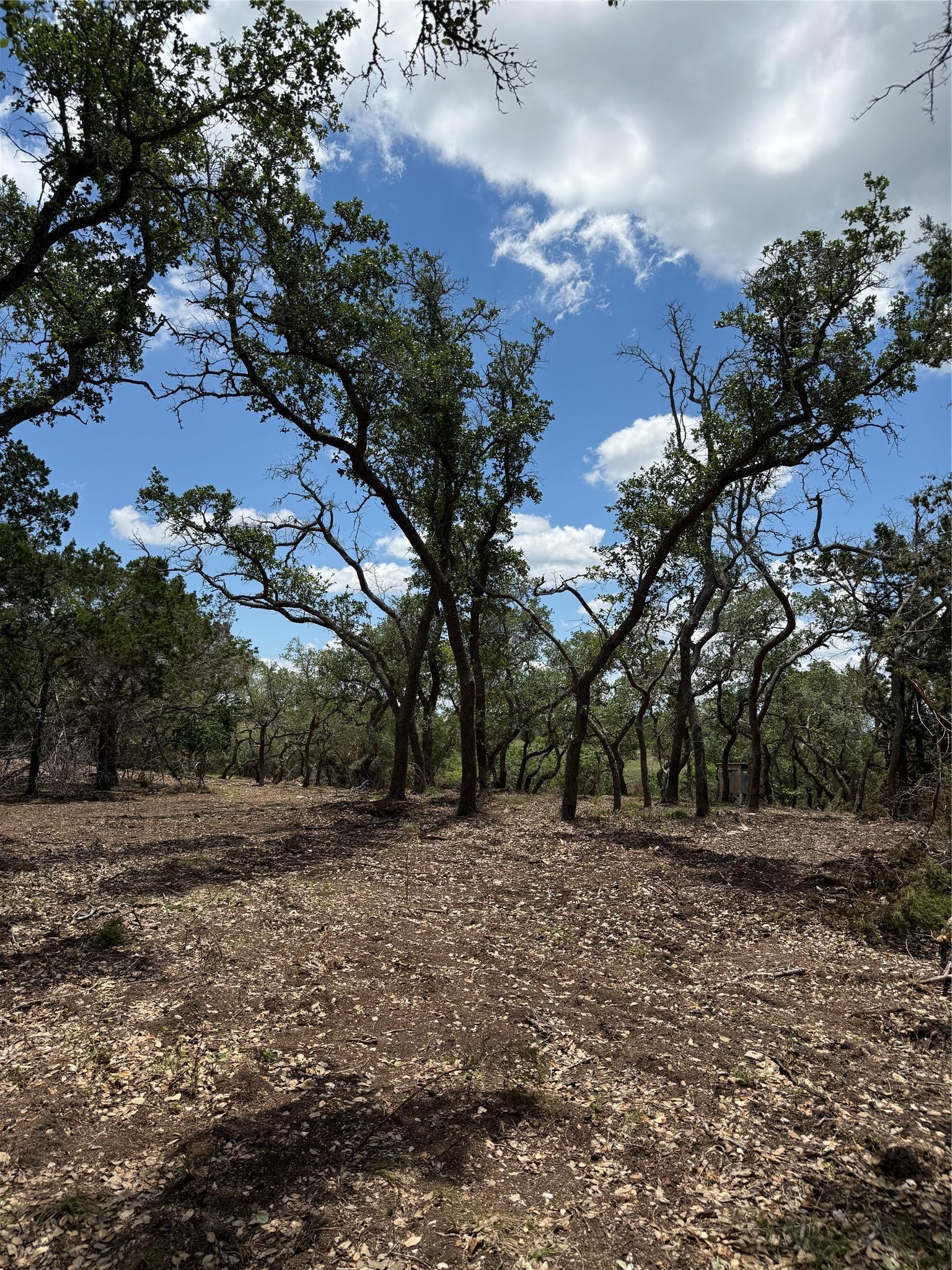 0 Altwein Road 17.91 Acres Altwein Road Blanco TX 78606