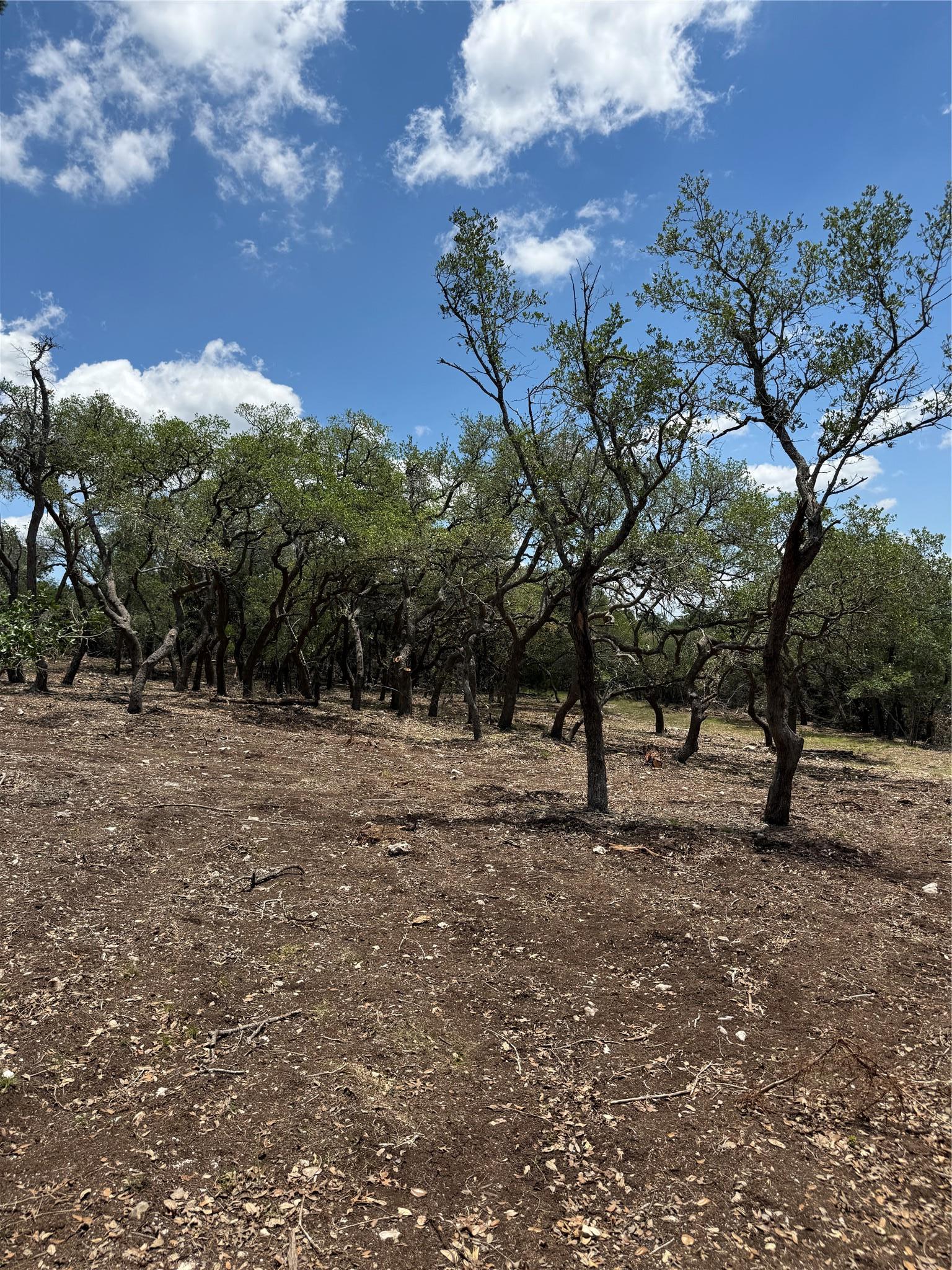 0 Altwein Road 17.91 Acres Altwein Road Blanco TX 78606