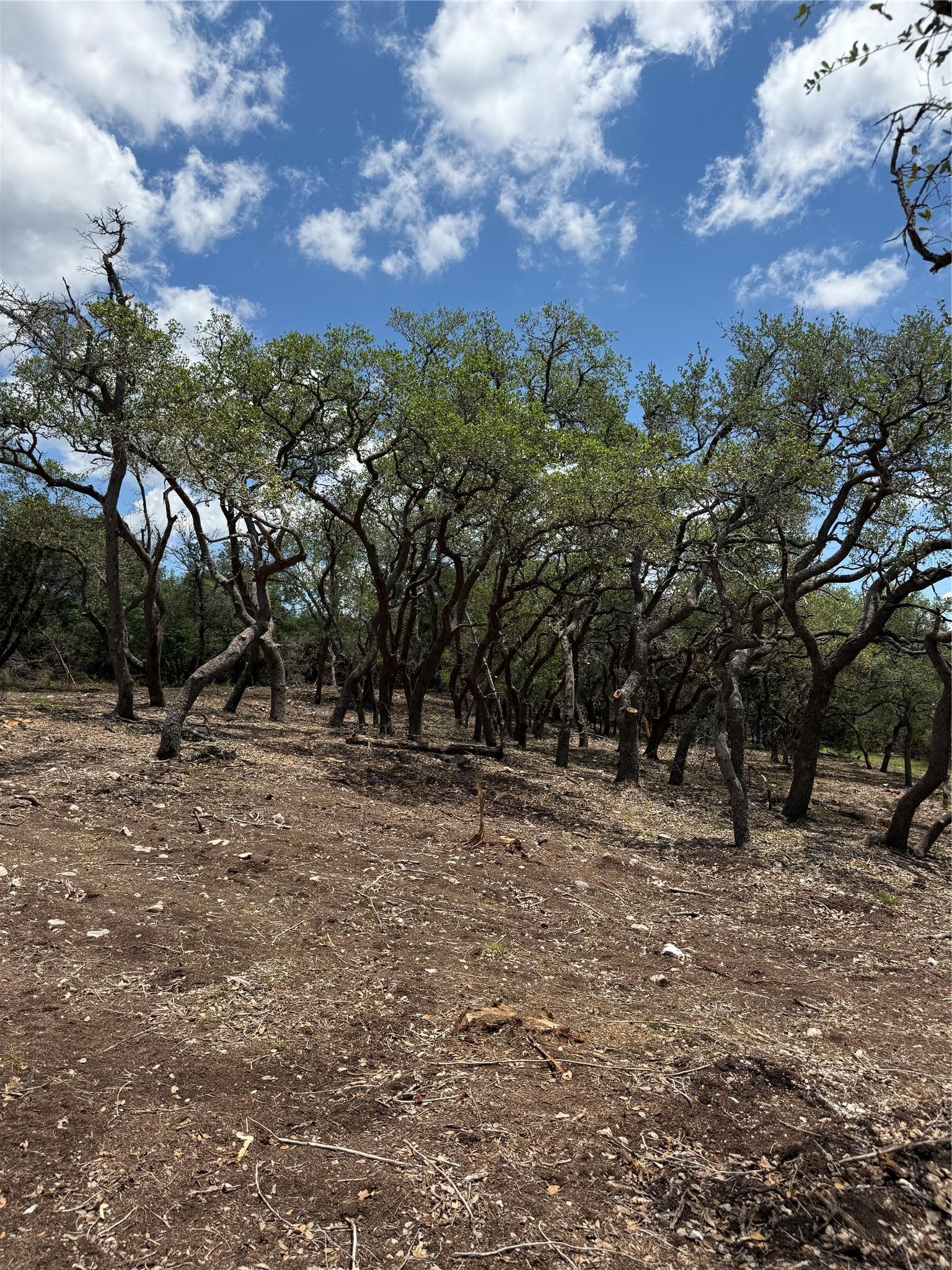 0 Altwein Road 17.91 Acres Altwein Road Blanco TX 78606