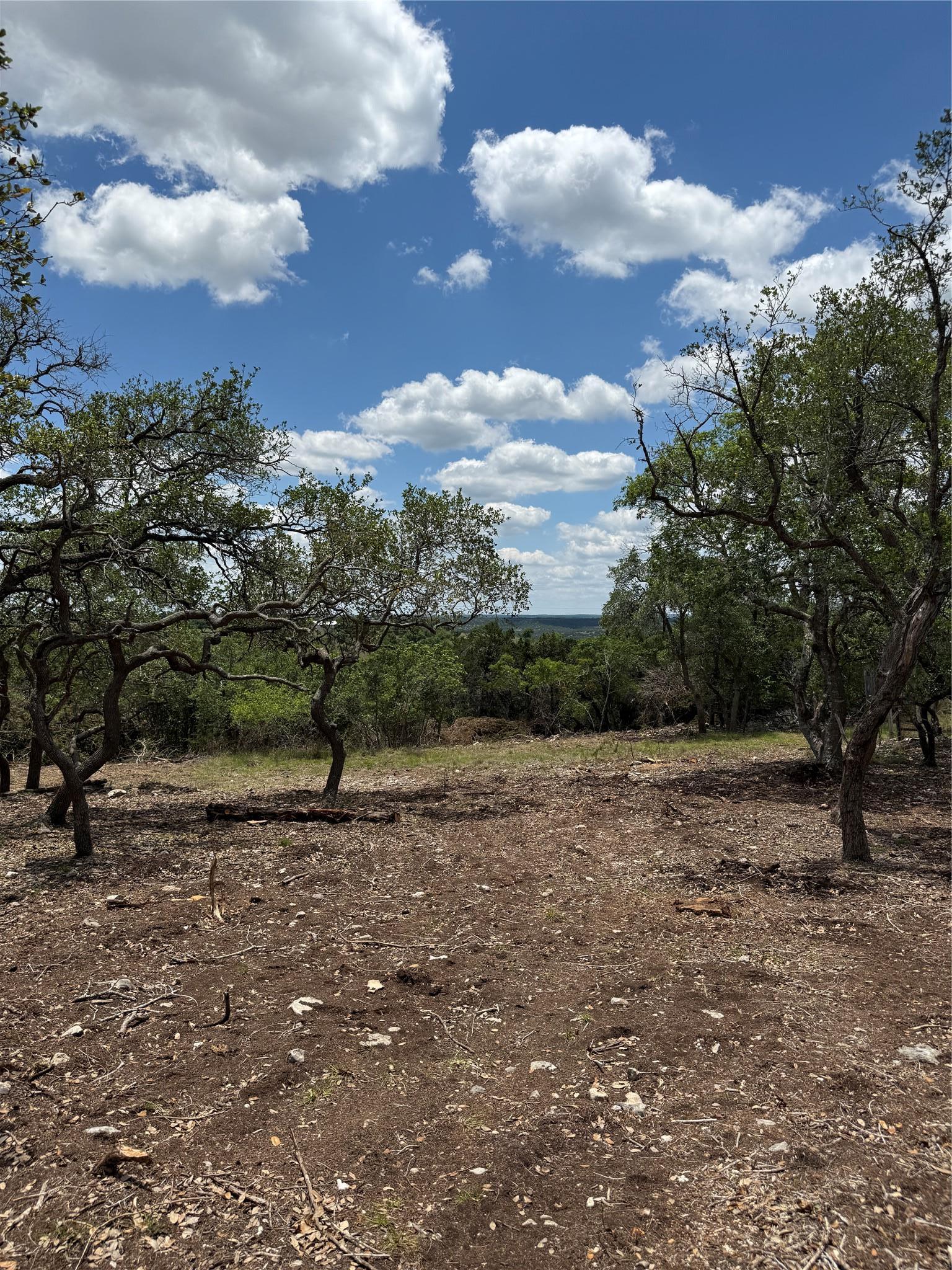 0 Altwein Road 17.91 Acres Altwein Road Blanco TX 78606
