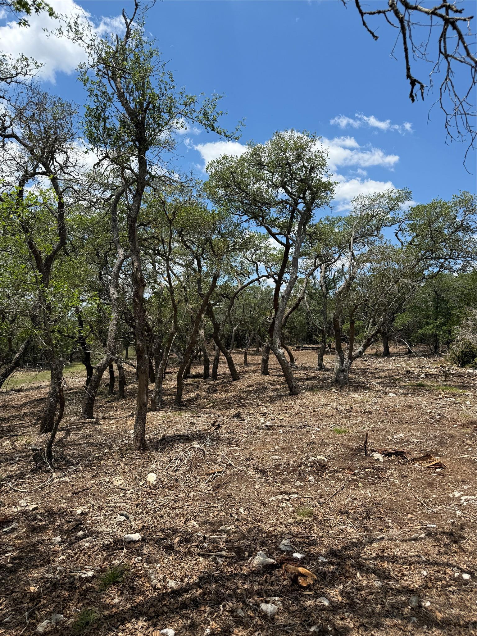 0 Altwein Road 17.91 Acres Altwein Road Blanco TX 78606